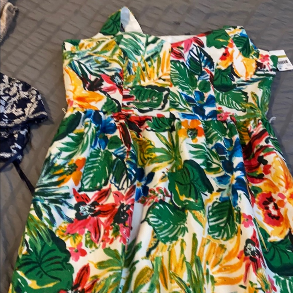 Donna Ricco Floral Dress New